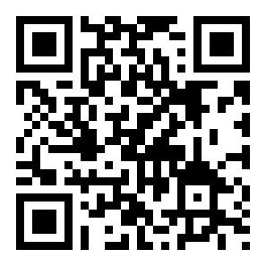 辛迪车祸模拟器二维码