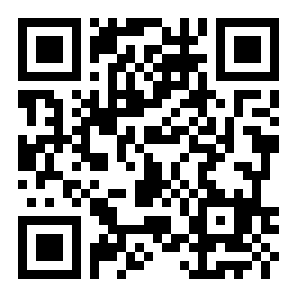 像素火影虎皮传版二维码