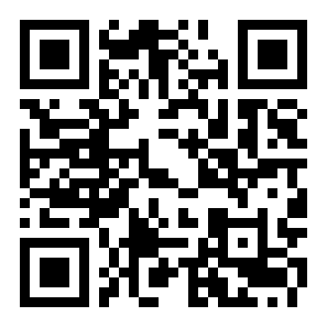 真实飞行模拟3D二维码