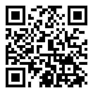 独立站跨境电商二维码