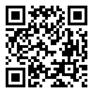 随机数独二维码