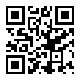 汽车混乱王二维码