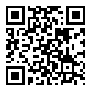 空港大亨正版二维码