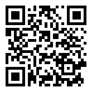 轻松扫描王二维码