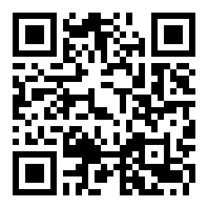 城市追击赛二维码