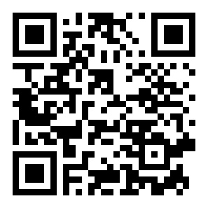 积木六边形二维码