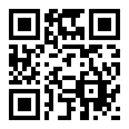 码字大师二维码