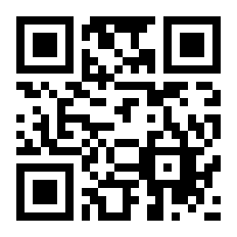 掌上车秘二维码