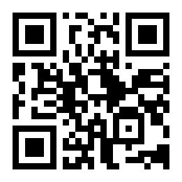 黑道城市驾驶二维码