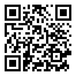 真实模拟飞行二维码