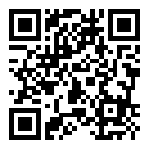 霓虹飞行二维码