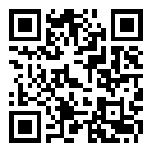 飞鸽互联工资条查询版二维码