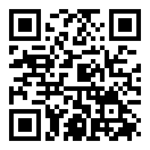 人生未来选择模拟器二维码