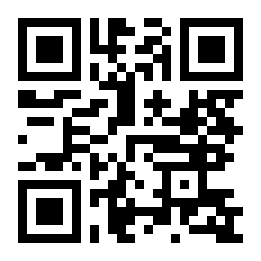 大城市汽车模拟器二维码
