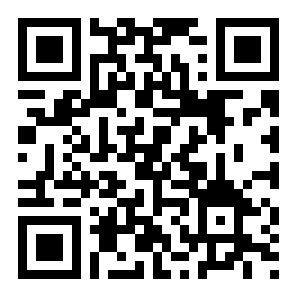 盗窃之王二维码