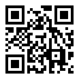 掌中阅看小说二维码