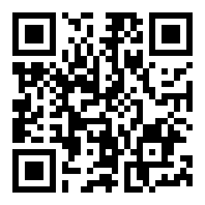 车祸环路桥模拟器二维码