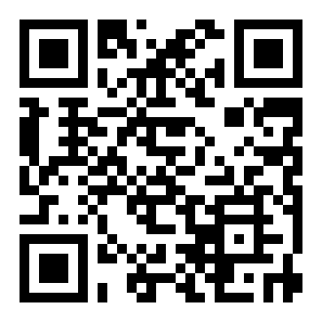 插入plug in二维码