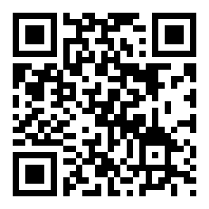 网约车司机模拟二维码