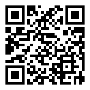 多边块拼图二维码