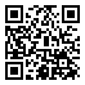 真正的车祸事故模拟二维码