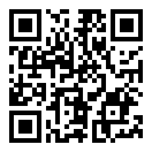 飞机真实模拟二维码