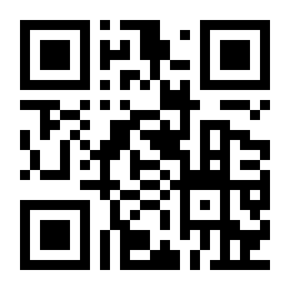 分秀小说二维码