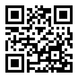 王者舰队安卓版二维码