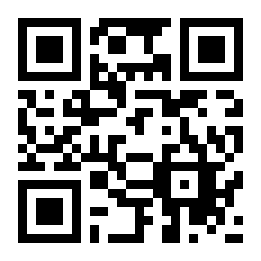 公路枪手二维码