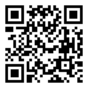 像素刀片W二维码