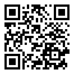 飞行模拟器2d二维码