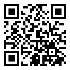 坨子大队老版本二维码