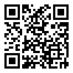 闪玩插件版二维码