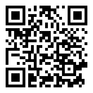 真实飞行模拟器二维码