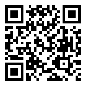 灵动主题皮肤二维码