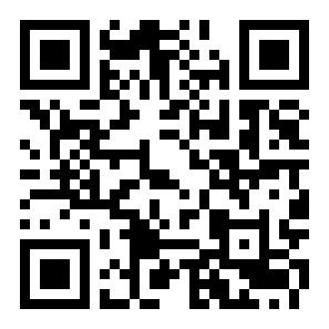 巴掌大师冠军二维码