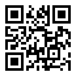 城市忍者奔跑者二维码