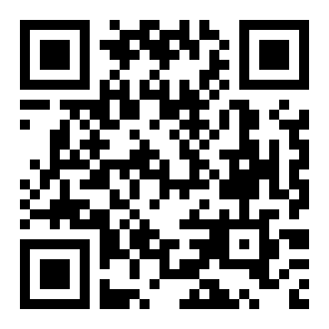 王者皮肤大佬二维码