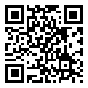 哥布林弹球peglin中文版二维码