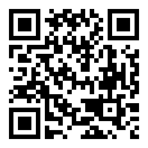 翻转赛车二维码