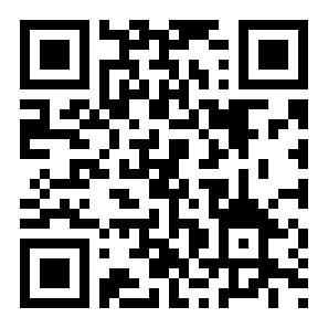 灵动岛小组件二维码