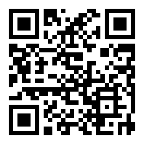 车祸模拟器无限版二维码