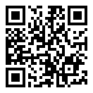 大美庐江二维码