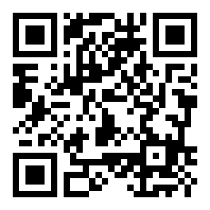 寂静之城汽车大碰撞二维码