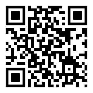 极限飞行模拟器二维码