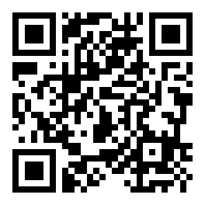 小偷人群二维码