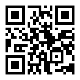 皇家积木拼图二维码