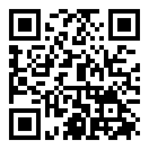 方块边缘安卓版二维码