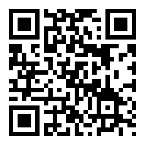 真正的战斗机战争二维码