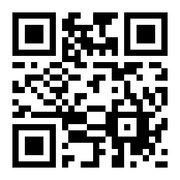 胖子小说二维码